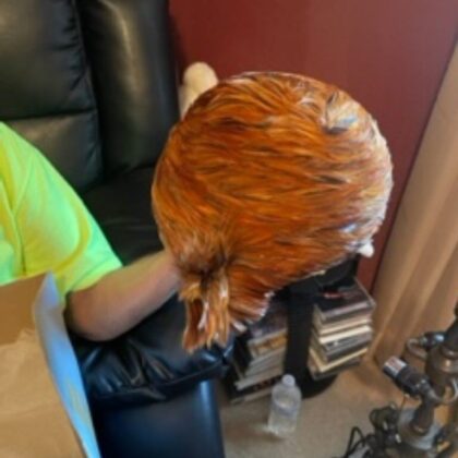 6 - Fall Feather Hat