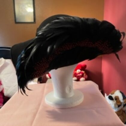 18 - Black Hat with Red Feather