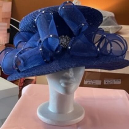 56 - Blue with Big Blue Bow